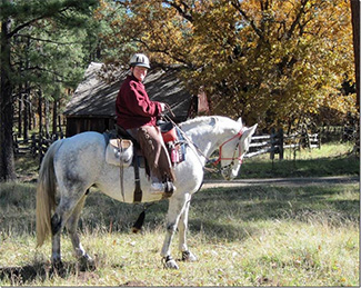 Double AA Ranch Gaited Horse Clinic in Pinedale, AZ with Hope Adams