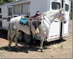 Gaited Horsemanship Clinic in Pinedale, AZ with Hope Adams of Double AA Ranch, Anza, CA